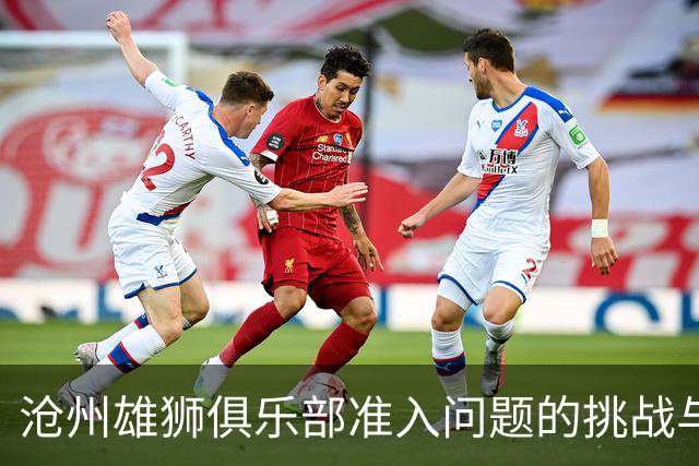 沧州雄狮俱乐部准入问题的挑战与机遇分析